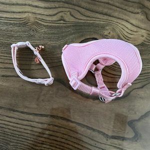 Top Paw kitten harness and collar
